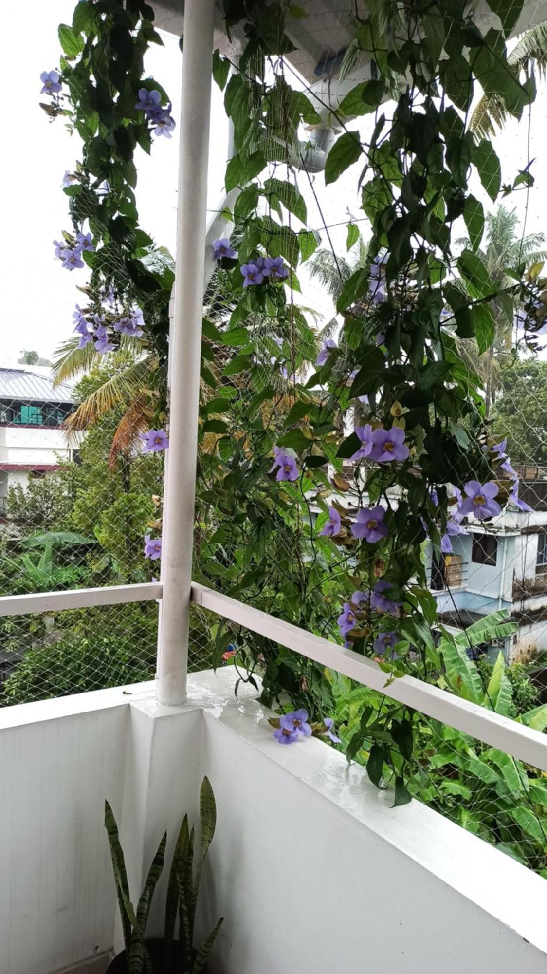 Bethesda Inn Kochi Dış mekan fotoğraf